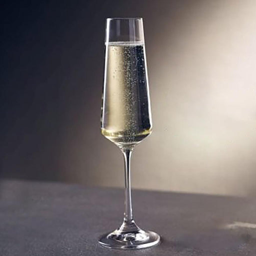 Kit com 6 Taças de Champagne em Cristal Ferrara 160ml